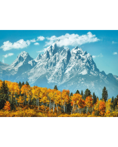 Puzzle 500 pièces - Grand Teton in Fall