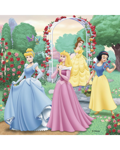 Puzzle 3 x 49 pièces Princesses